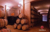 /album/www-cti-com/a582255-304028239681405-1189523981-n-jpg/
