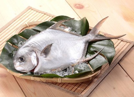 黃金鯧