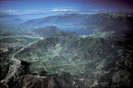 Tarapaca 產地